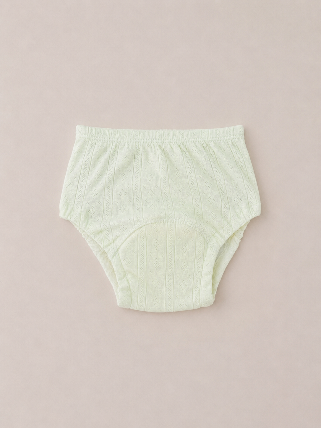 Pantis Entrenadores PAPILLONS