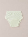 Pantis Entrenadores PAPILLONS