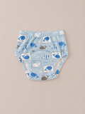 Pantis Entrenadores PAPILLONS