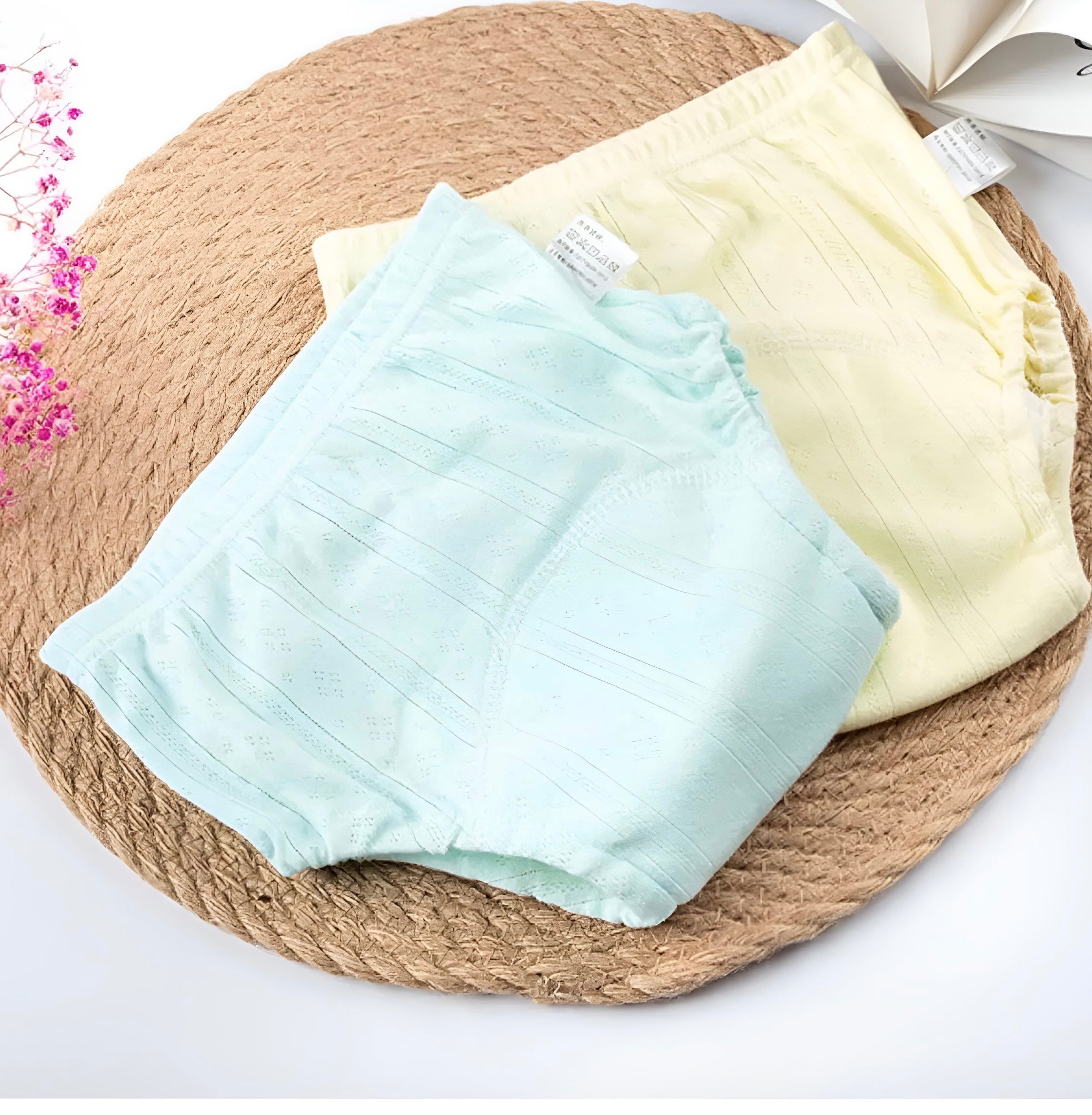 Pantis Entrenadores PAPILLONS