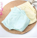 Pantis Entrenadores PAPILLONS