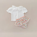 Set Español Laurenne