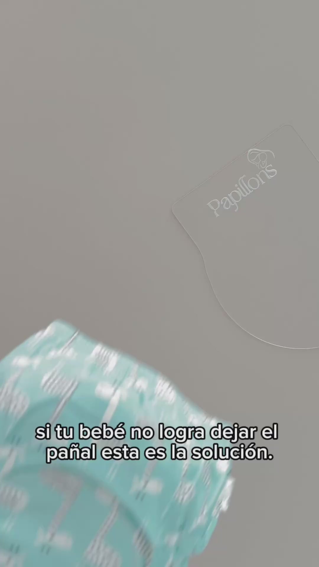 Pantis Entrenadores PAPILLONS